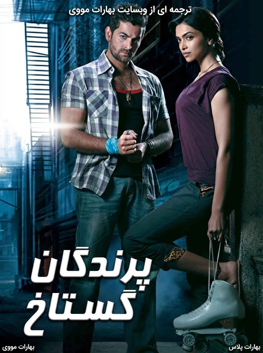پرندگان گستاخ